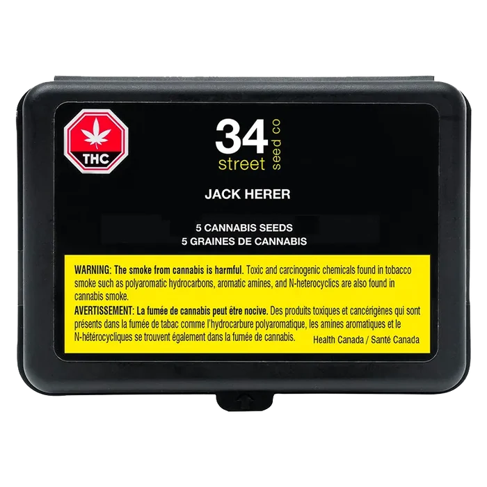 34 Street Seed Co. 5 pack Jack Herer Seeds Cannabis