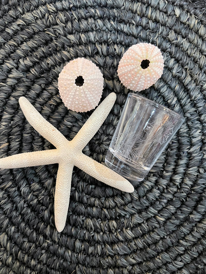 Glass Shell - Shot Glass