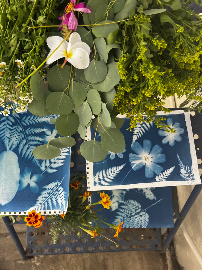 CYANOTYPE: SUN PRINTING - CARPINTERIA