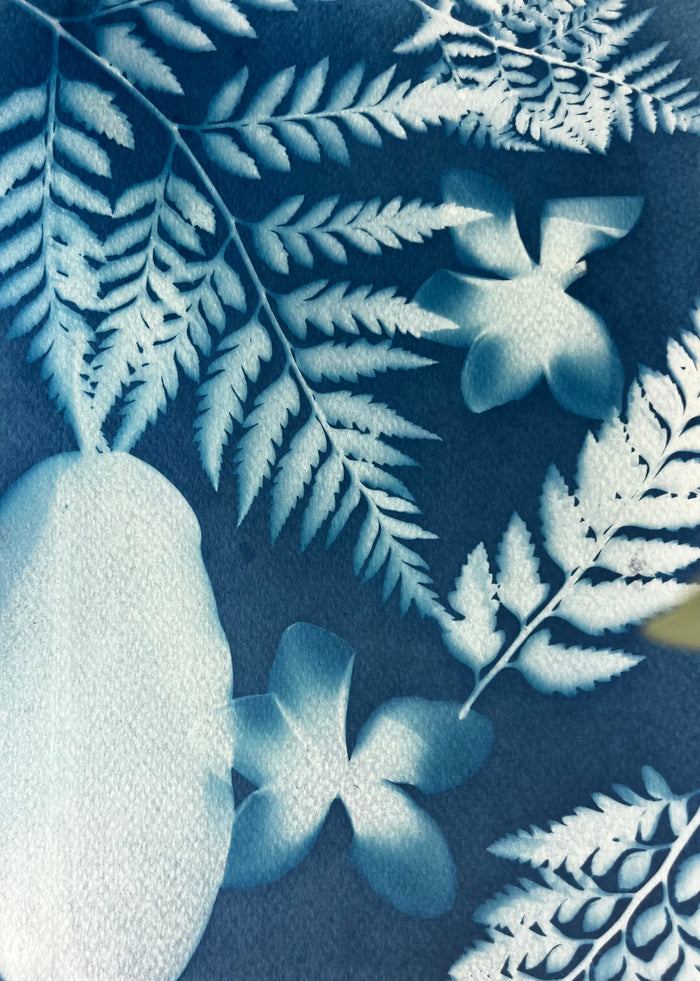 CYANOTYPE: SUN PRINTING - CARPINTERIA