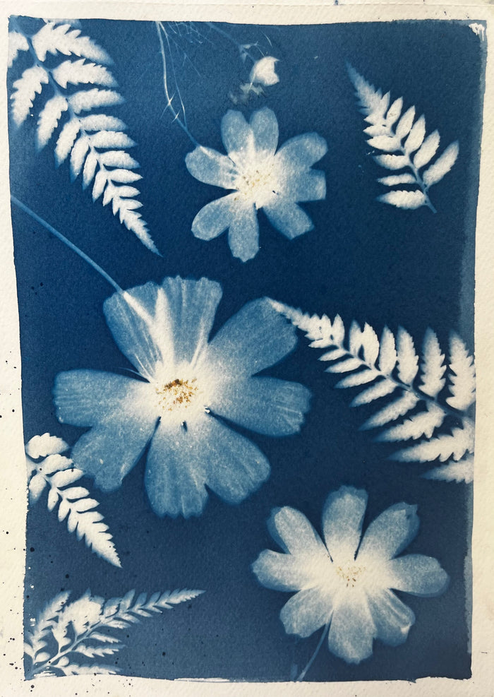 CYANOTYPE: SUN PRINTING - CARPINTERIA