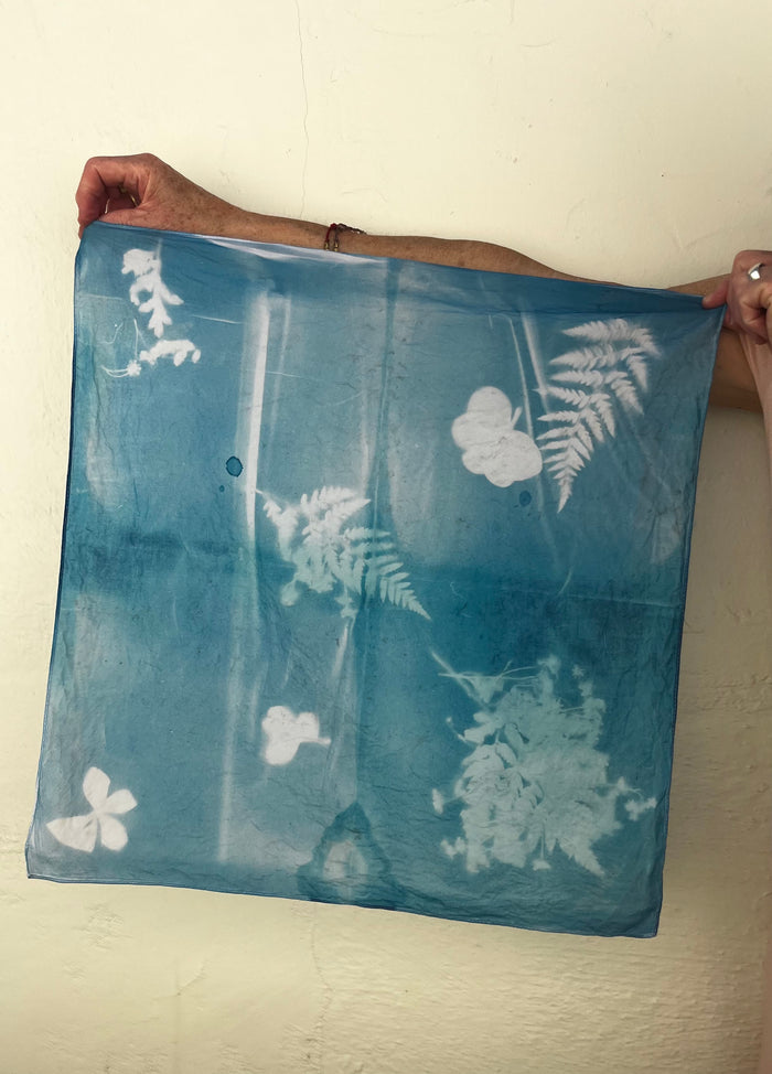 CYANOTYPE: SUN PRINTING - CARPINTERIA