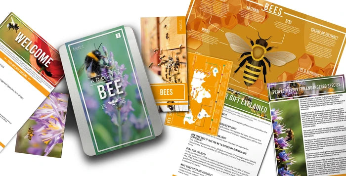 Adopt a Bee Kit