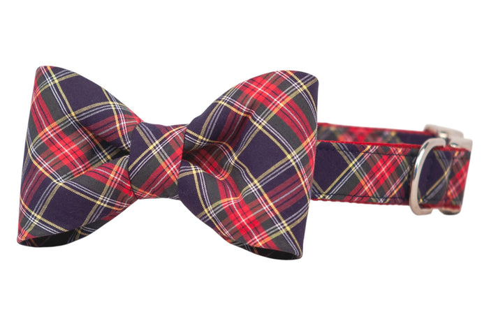 Classic tartan bow tie in red and navy, crafted with smooth fabric and mounted on a coordinating plaid collar fitted with a metal buckle and D-ring.