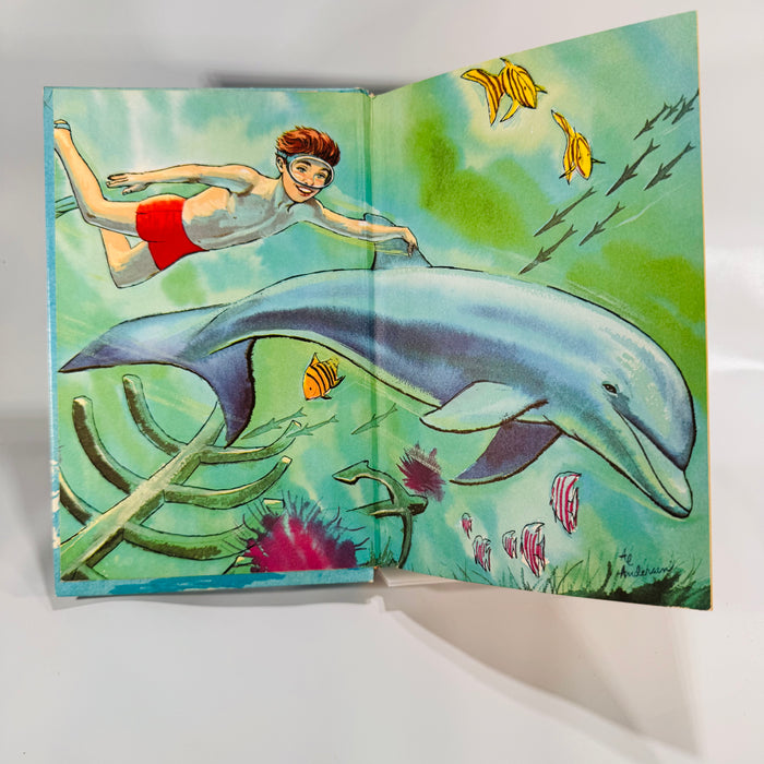 Children’s Adventure Fiction — Flipper: The Mystery of the Black Schooner (1966) — Richard Hardwick | Illustrated Whitman TV Tie-In, Children’s Adventure