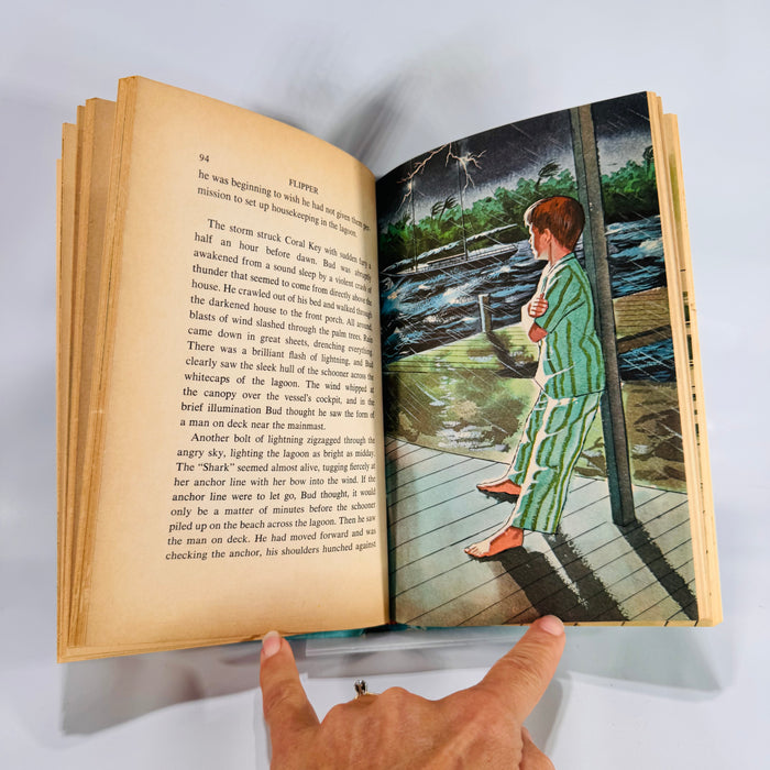 Children’s Adventure Fiction — Flipper: The Mystery of the Black Schooner (1966) — Richard Hardwick | Illustrated Whitman TV Tie-In, Children’s Adventure