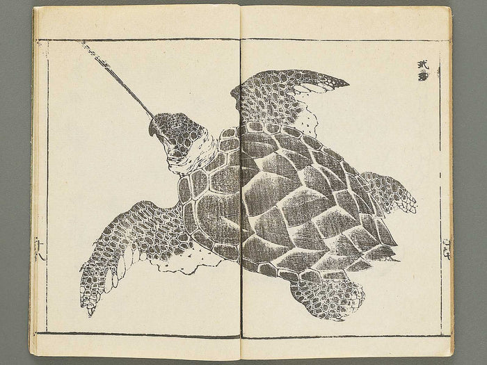 Choko hinagata by Futatsuyanagi Mabuchi / BJ353-416