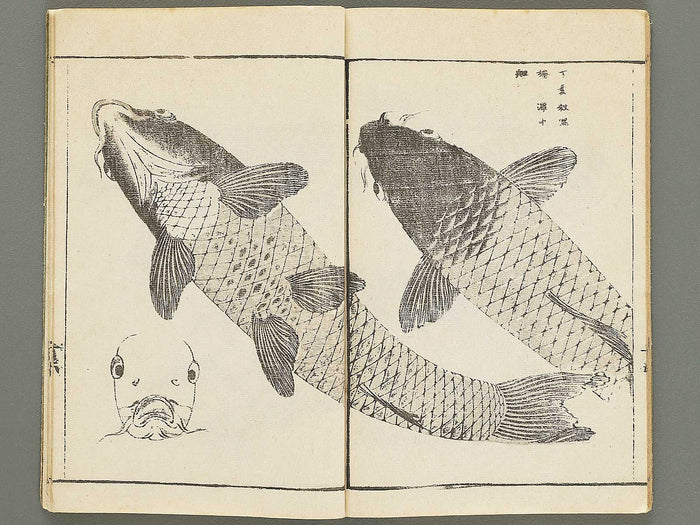 Choko hinagata by Futatsuyanagi Mabuchi / BJ353-416