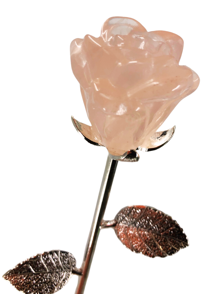 Rose Quartz in Silver