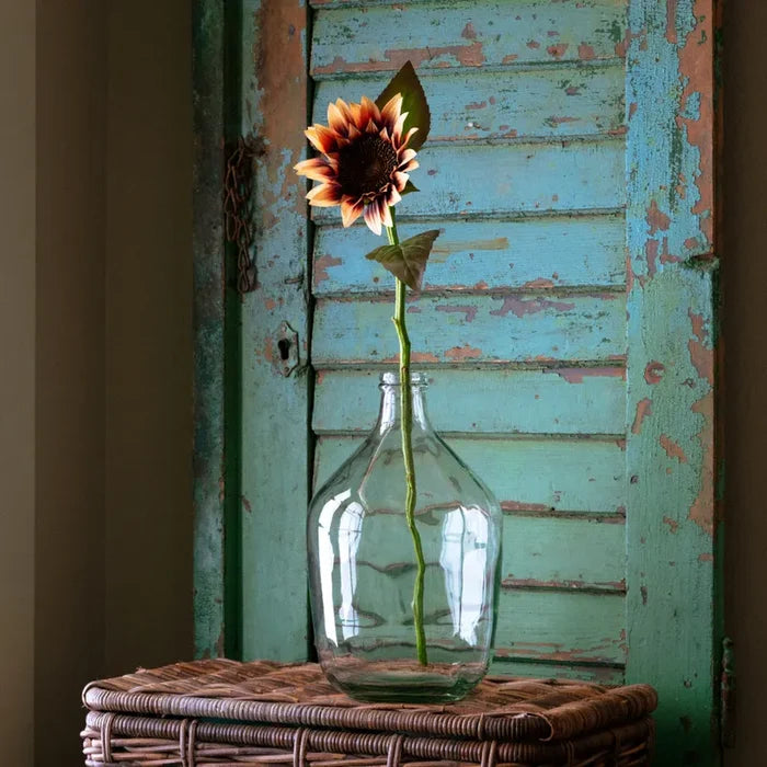 Desert Sunflower Stem
