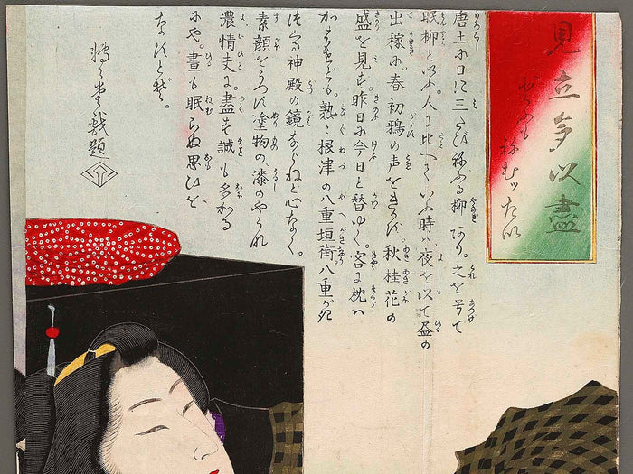 Domo nemuttai from the series Mitate tai zukushi by Tsukioka Yoshitoshi / BJ323-106