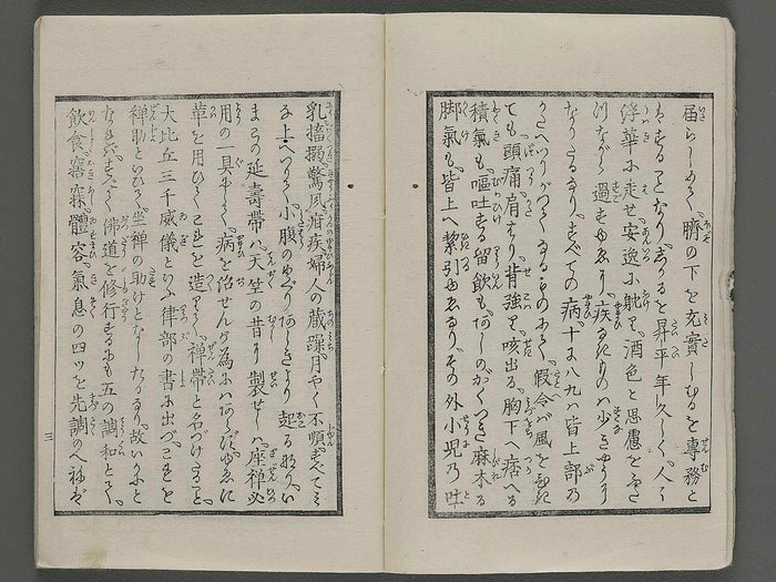 Enjutai koyo ryakki / BJ254-919