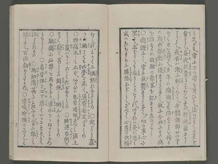 Enjutai koyo ryakki / BJ254-919