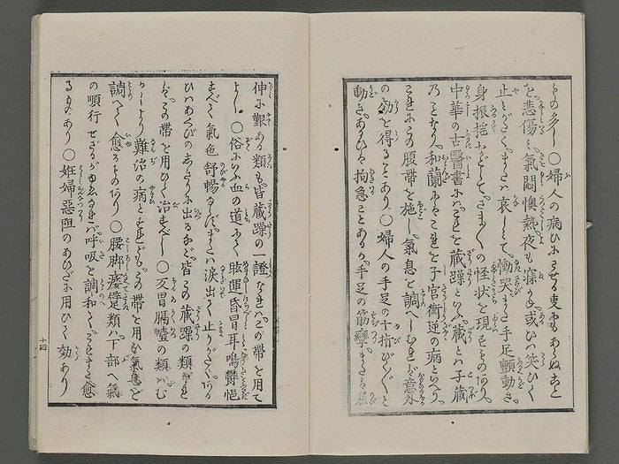 Enjutai koyo ryakki / BJ254-919