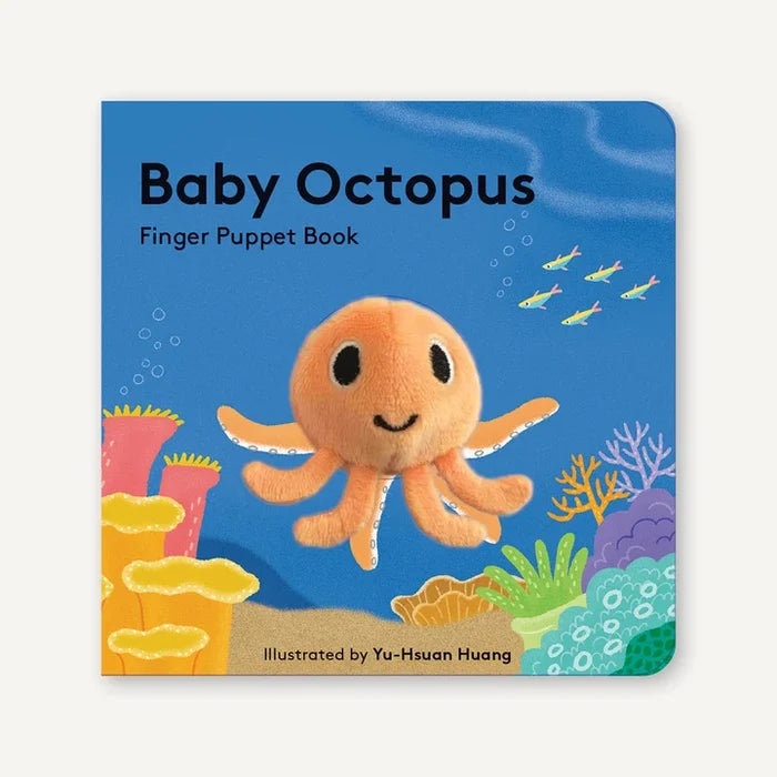 Baby Octopus