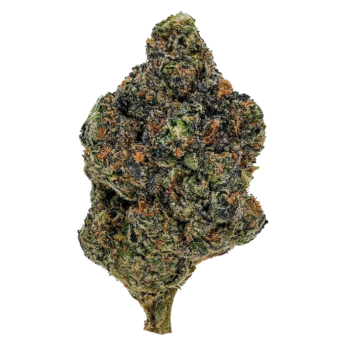 1964 7 g Gasolina Flower