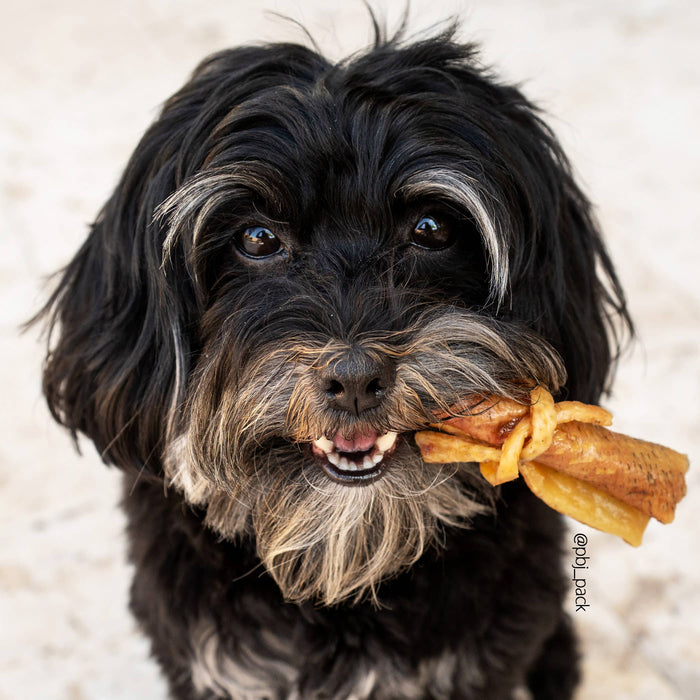 Hog Hide Roll - Bulk Chew - All-Natural Dog Treats