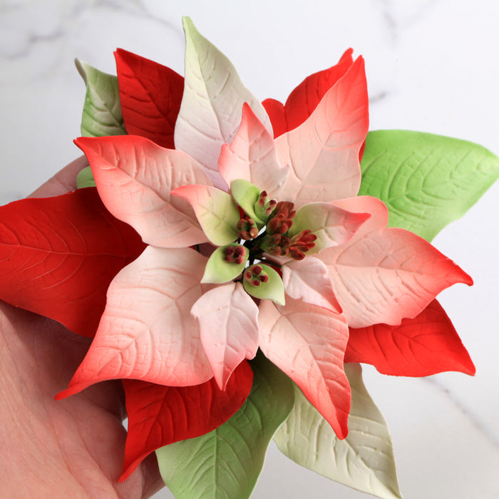 Poinsettia Gum Paste Sugar Flowers great as a cake topper for cake decorating your own holiday cakes. Perfect cake decoration for Christmas cakes and pies.
