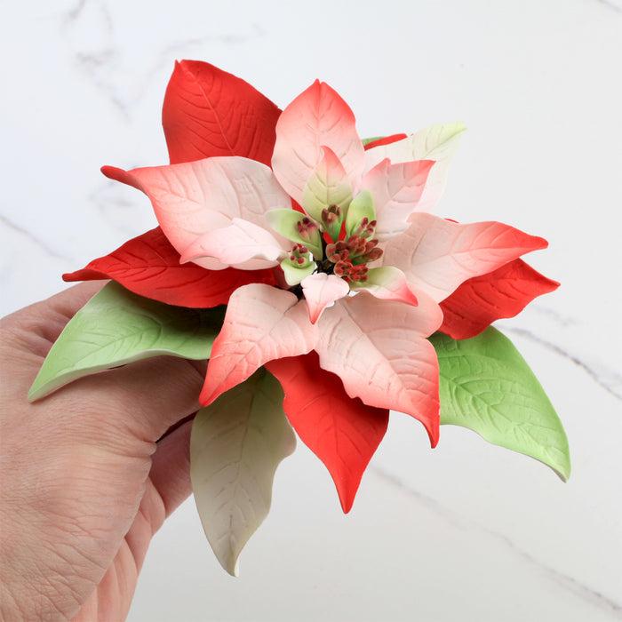 Poinsettia Gum Paste Sugar Flowers great as a cake topper for cake decorating your own holiday cakes. Perfect cake decoration for Christmas cakes and pies.