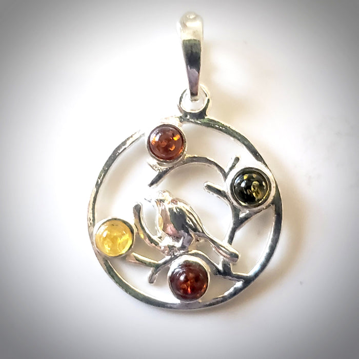 Hummingbird with amber necklace
