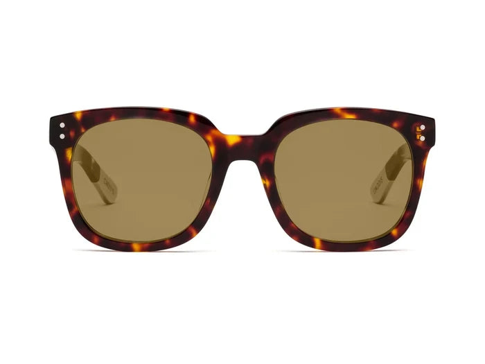 Jockamo Sunglasses - Turtle