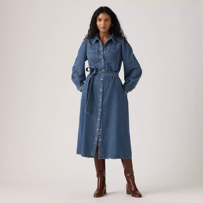 Journey Long-sleeve Maxi Dress