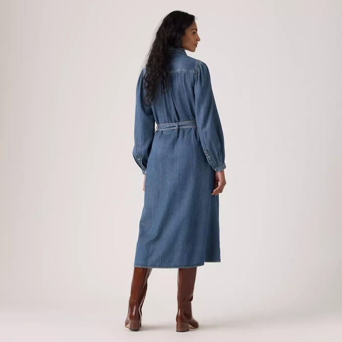Journey Long-sleeve Maxi Dress