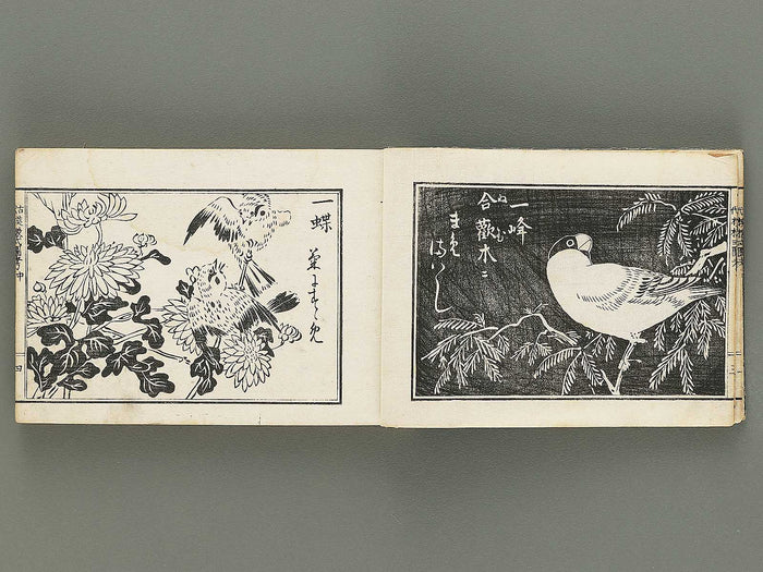 Kodai moyo shikizu ko (Chu) by Kano Motonobu, Katsushika Hokusai, Ogata Korin, Sakai Hoitsu, etc. / BJ354-158
