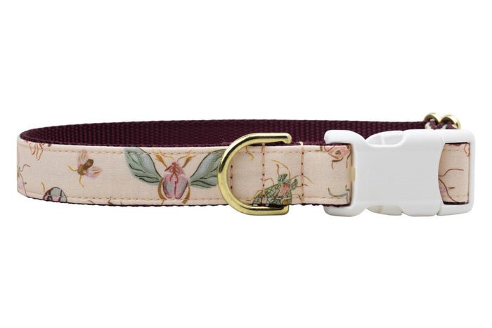 Turn daily walks into a fashion moment with this charming dog collar, decked out in pastel bugs and blossoms, topped with sturdy accents and Crewlala style.