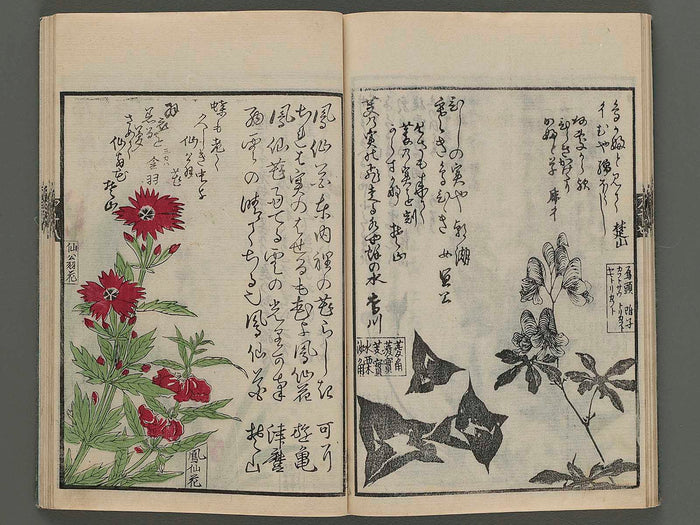 Meika gafu kusanonashu (aki no bu) / BJ243-698