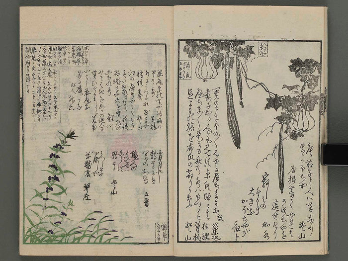 Meika gafu kusanonashu (aki no bu) / BJ243-698
