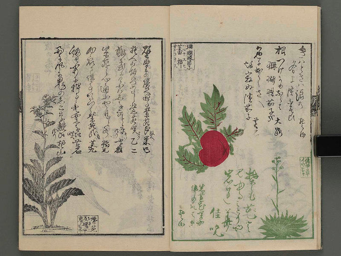 Meika gafu kusanonashu (aki no bu) / BJ243-698