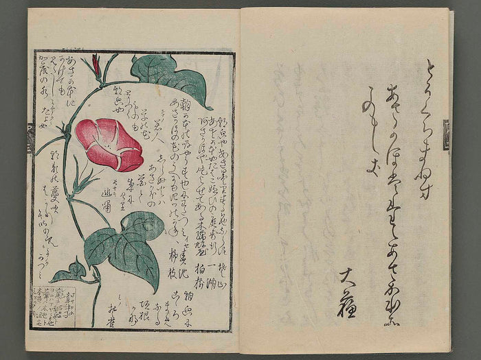 Meika gafu kusanonashu (aki no bu) / BJ243-698