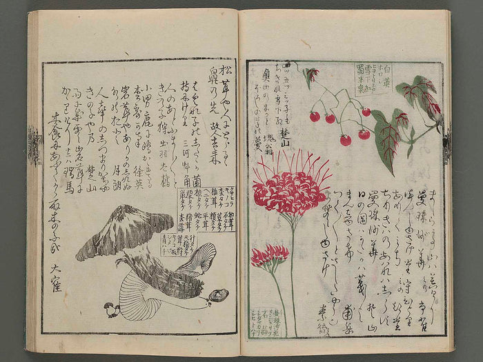 Meika gafu kusanonashu (aki no bu) / BJ243-698