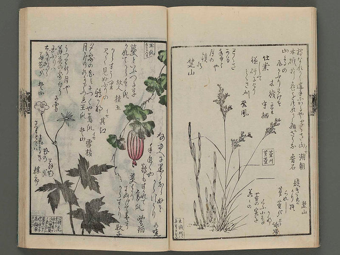 Meika gafu kusanonashu (aki no bu) / BJ243-698