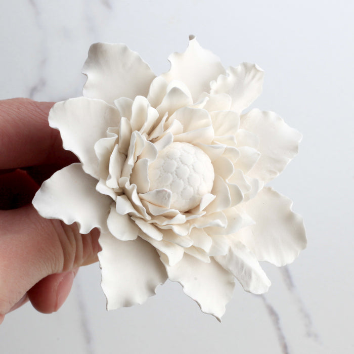 Sugar flower Dahlia handmade from gumpaste, perfect as cake toppers when decorating your own cakes. Fits on fondant and buttercream cakes.  Caljava cake decorations and bakerys supply.