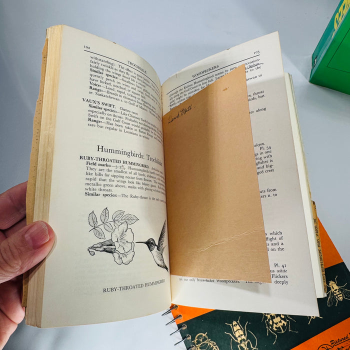 Mid-Century Natural History Field Guide Book Set (1950s–1970s) — Peterson, Simon & Schuster, Jaques | Illustrated Science Classics, Natural History