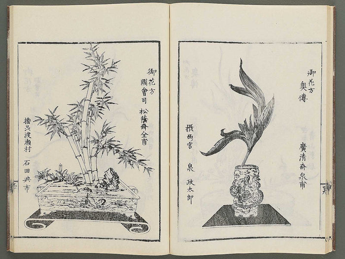 Naniwa no hana by Matsukawa Hanzan / BJ348-992