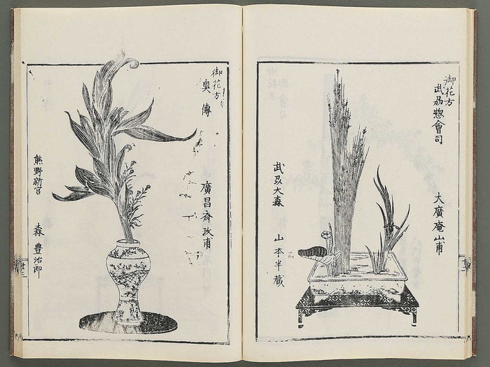 Naniwa no hana by Matsukawa Hanzan / BJ348-992