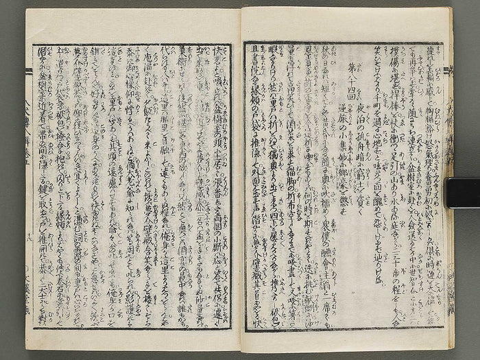 Nanso satomi hakkenden Part 8, Book 5-8 by Yanagawa Shigenobu / BJ316-295