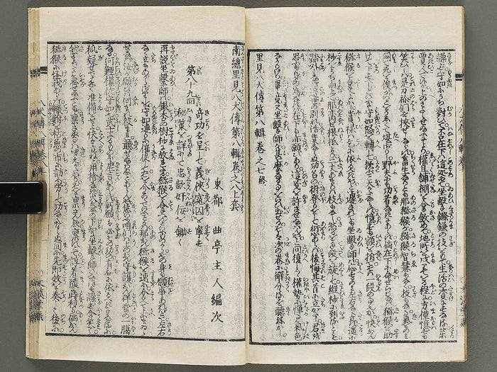 Nanso satomi hakkenden Part 8, Book 5-8 by Yanagawa Shigenobu / BJ316-295