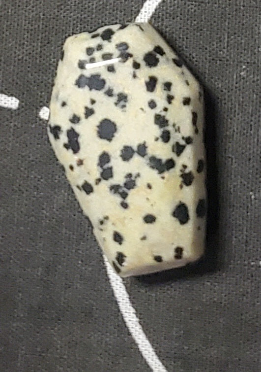 Dalmation Jasper