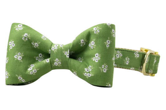 Olive Blooms Bow Tie Dog Collar - Crew LaLa