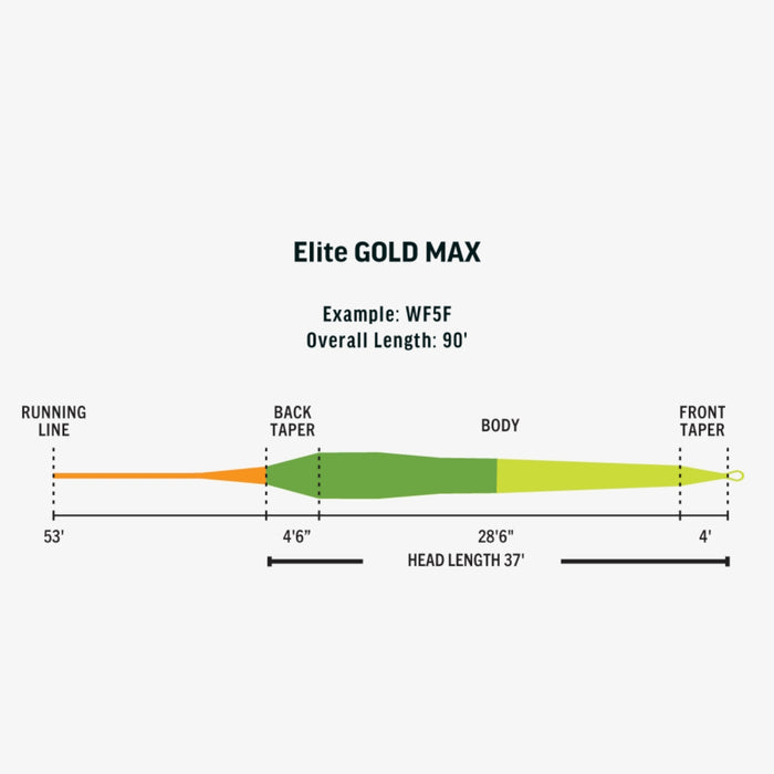 RIO Elite Gold Max fly line - detail view