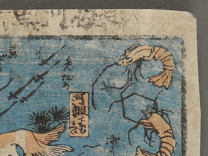 Sakana zukushi / BJ325-836