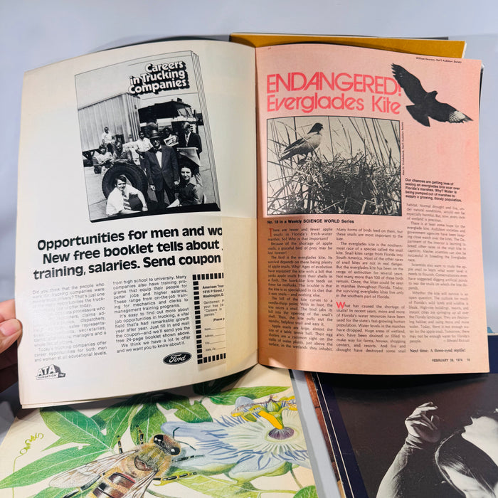 Science World (4 Issues, 1974) — Classroom Periodical | Cave Bears, Allergies, Noah’s Ark, Science Magazine Set