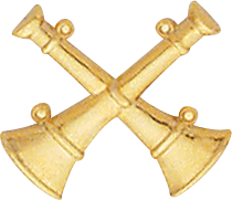 Gold / Two Crossed