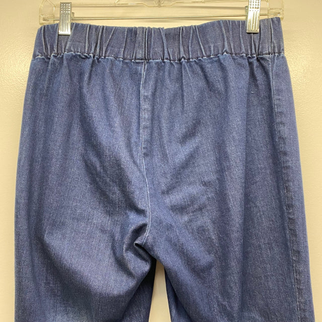 Soft Surroundings Size S-4 Women's Blue Beaded Pull On Jeans