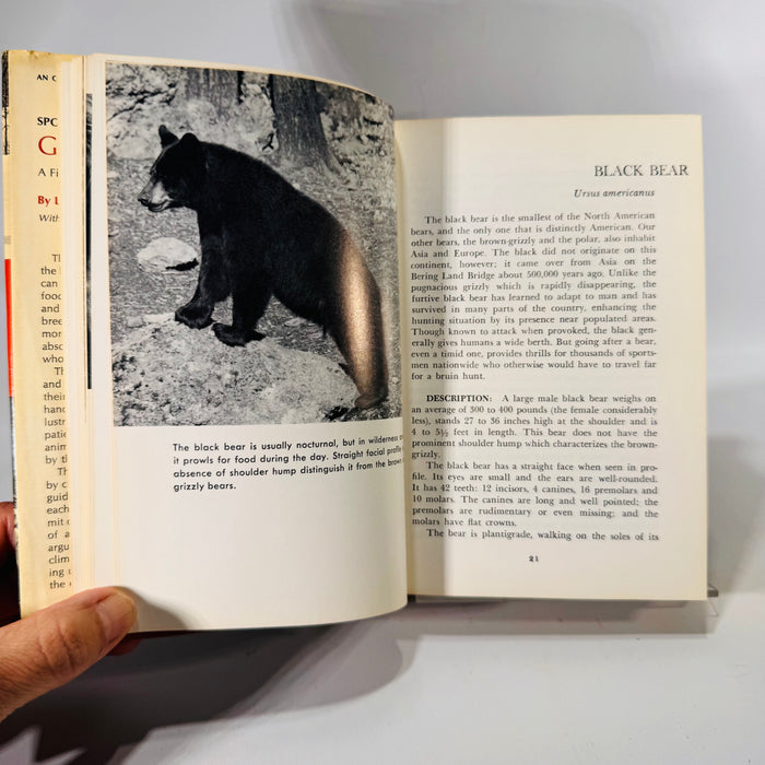 Sportsman's Guide to Game Animals by Leonard Lee Rue III | 1971 Outdoor Life Book | Vintage Field Guide | Wildlife Photography | Hardcover DJ