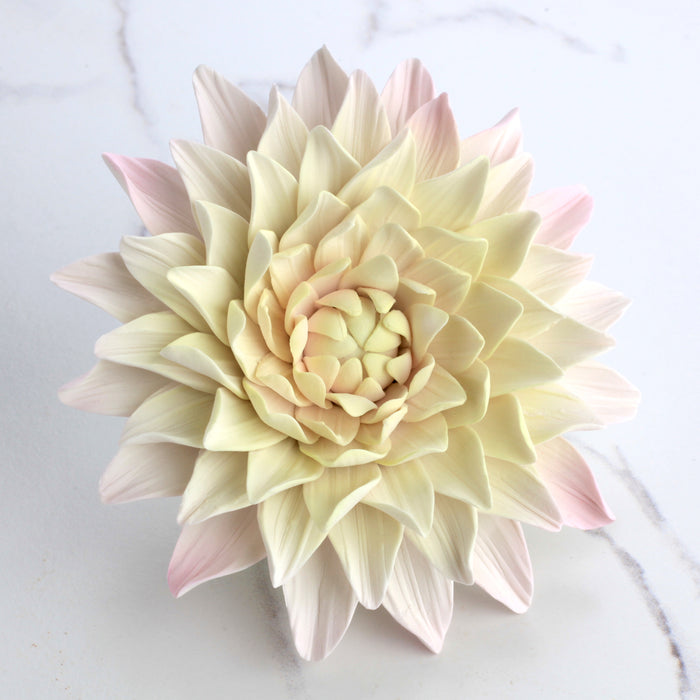 Gumpaste Dahlia Sugarflowers are perfect for cake decorating fondant wedding cakes & cupcakes. Handmade cake toppers from gumpaste/fondant. Wholesale sugarflower. Caljava Bakery Supplies